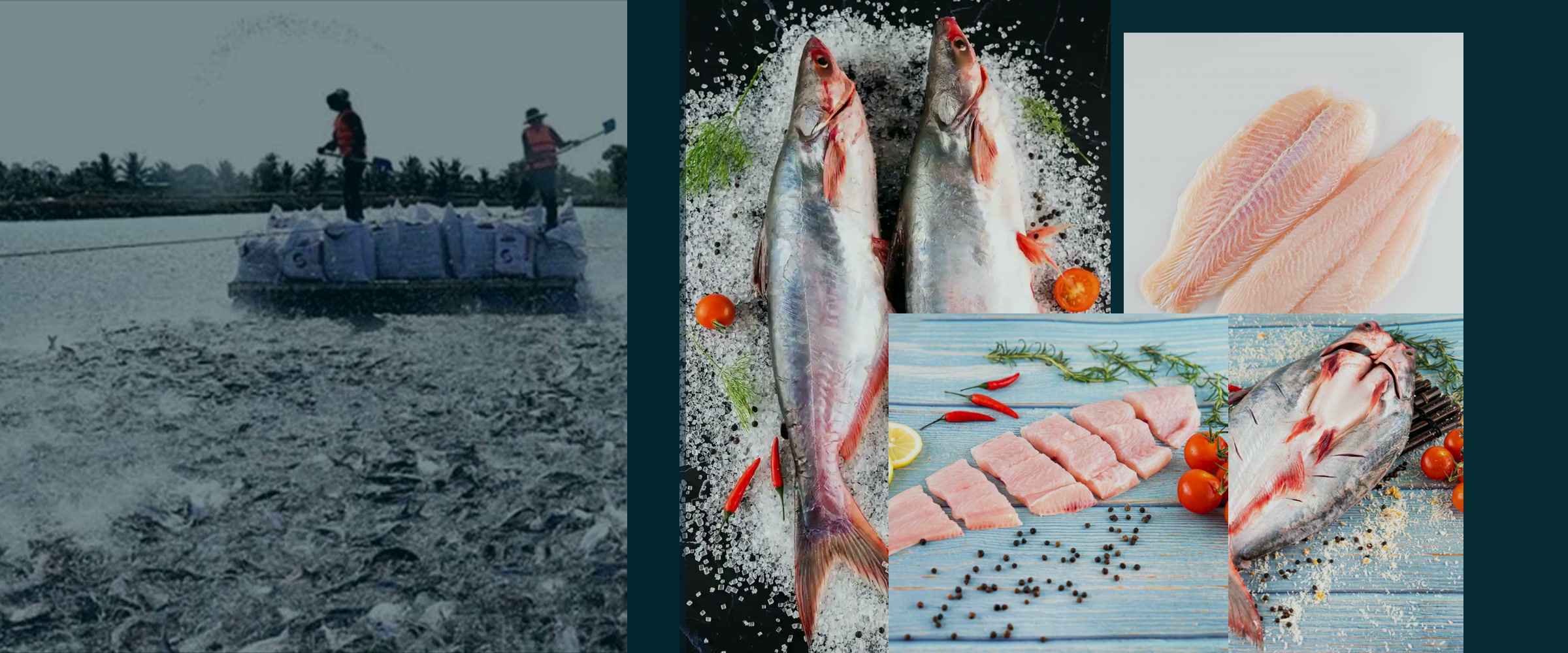 ASEAN seafood, agriculture and food supply value chain